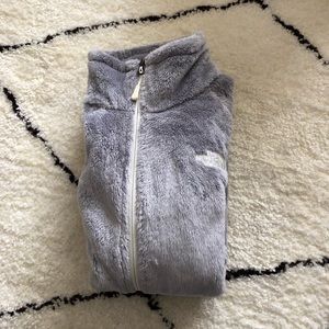 The north face jacket